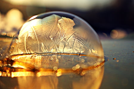macro photography of brown bubble thumbnail