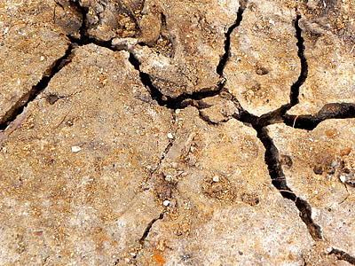 brown soil thumbnail