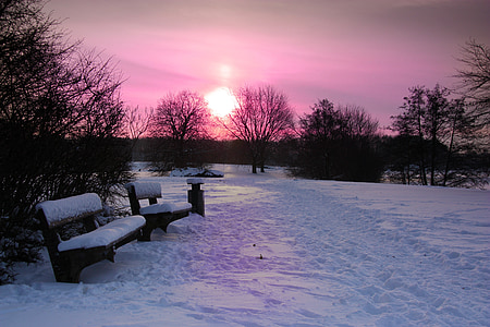 two black-and-white benches on land covered snow thumbnail