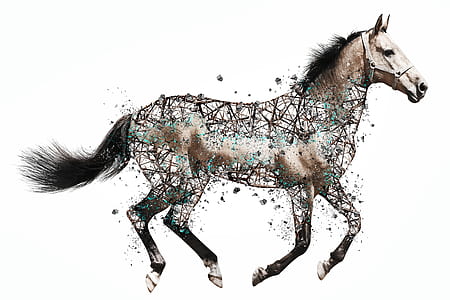 photo of brown and black horse with arts paint thumbnail