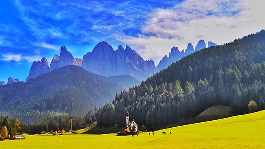 yellow plant field across mountain thumbnail