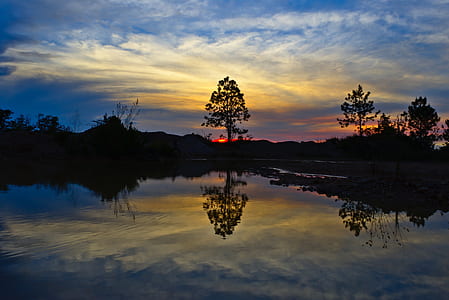 body of water near high trees under blue and white sky at golden hour thumbnail