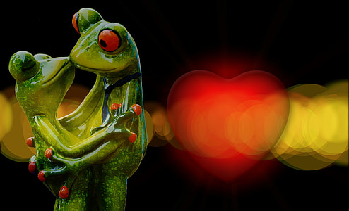 bokeh photography of couple red-eyed frog thumbnail