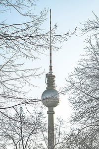 TV tower near bare trees thumbnail
