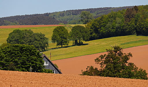 house near grass field and green leafed trees thumbnail