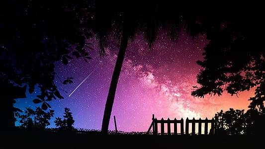 silhouette photo of tree and comet thumbnail