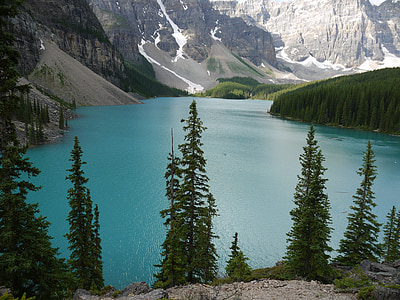 trees beside body of water thumbnail