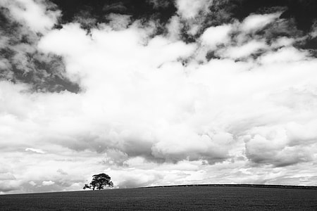 grayscale photography of peaceful place during cloudy sky thumbnail