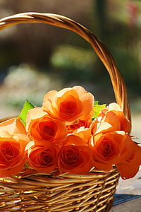 close up photo of basket of orange roses thumbnail