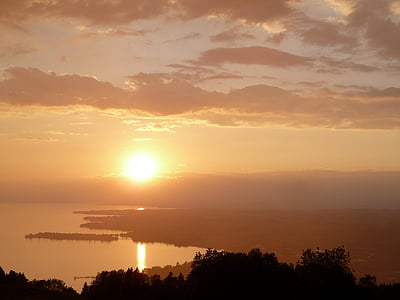 silhouette photo of trees near body of water thumbnail