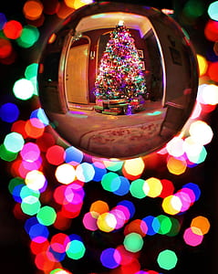 Christmas tree reflected on clear bauble thumbnail
