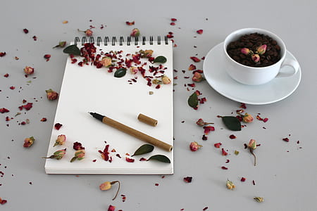 spring notebook beside teacup with saucer thumbnail