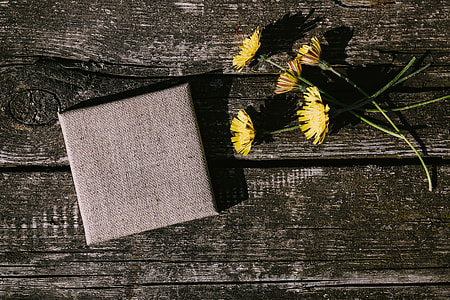 Small flowers, pencils and other things on wood thumbnail