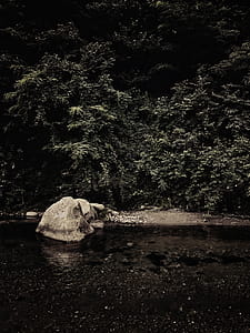Monochrome Photo of a River thumbnail