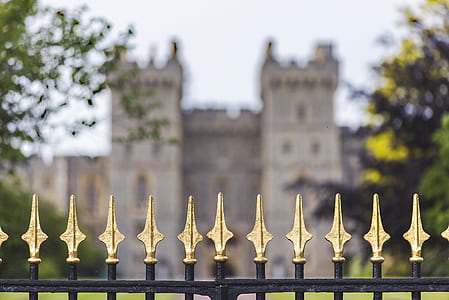 black and gold fence thumbnail