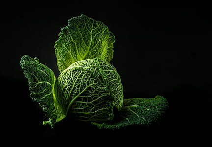 green cabbage with black background thumbnail