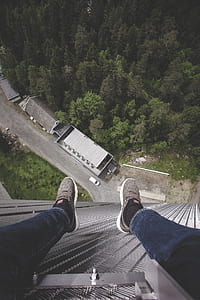 aerial photography of trees thumbnail