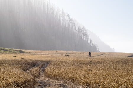 person in the middle of grass field thumbnail