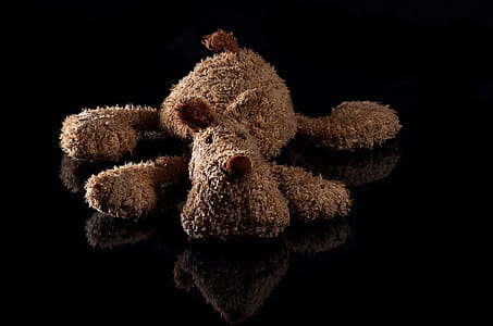 Brown Dog Plush Toy thumbnail