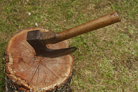axe stocked on tree log thumbnail