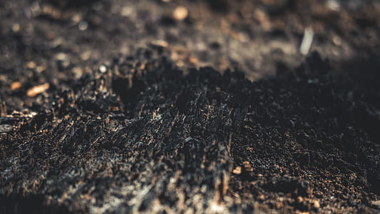 black soil thumbnail
