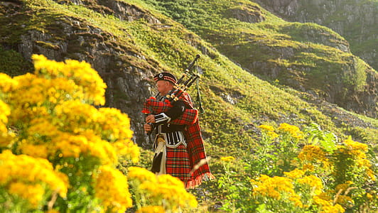 Photo of a Man in Red, Black, and White Plaid Traditional Suit on Yellow Flower Field thumbnail