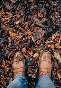 person standing on dried leaves thumbnail