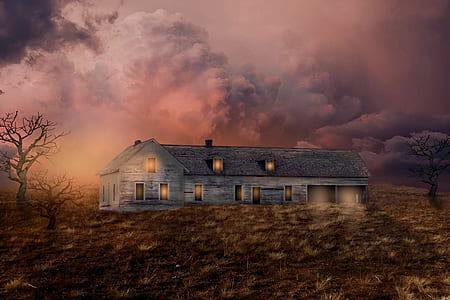 gray house surrounded with bare trees thumbnail