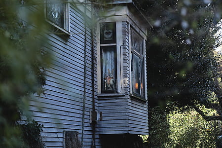 white wooden house and glass window with bunny plush toy at daytime thumbnail
