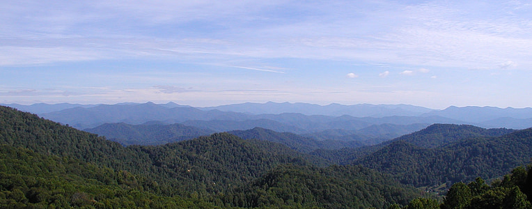 mountains covered with trees taken during daytime thumbnail