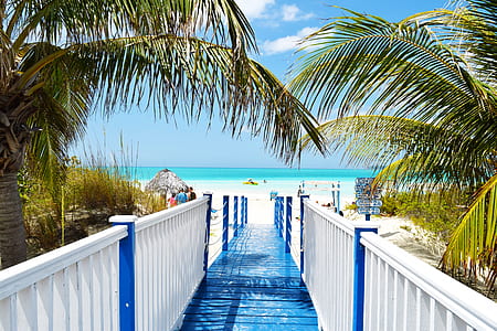 blue and white wooden pathway through sea at daytime thumbnail