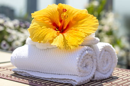 yellow hibiscus flower on white towels thumbnail