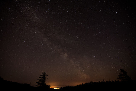 night, sky, stars, tree thumbnail