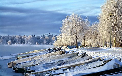gray covered boats near bodies of water and bare trees at daytime thumbnail