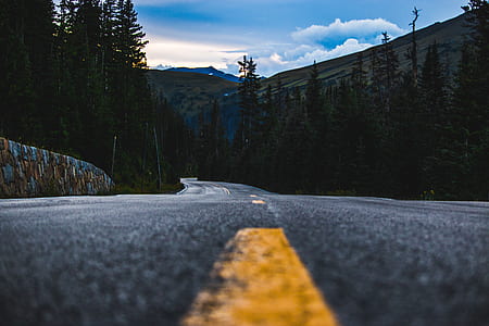 photo of pavement road near trees thumbnail
