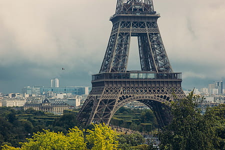 Eiffel tower surrounded by trees on a cloudy day thumbnail