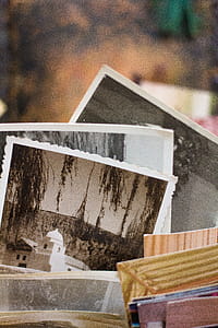 Assorted-color Photo Lot thumbnail