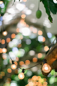 selective photography of string lights thumbnail