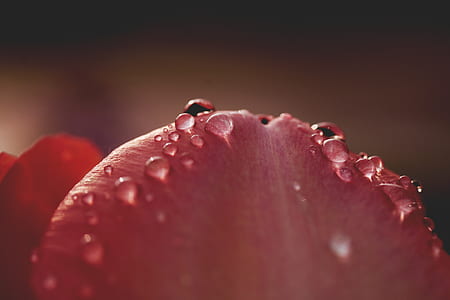 food, light, water, blur thumbnail