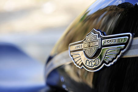 Harley-Davidson logo thumbnail