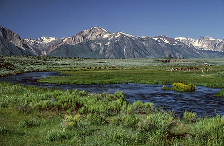 Scenic view of lake and mountain range thumbnail