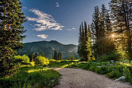 road, landscape, nature, clouds thumbnail