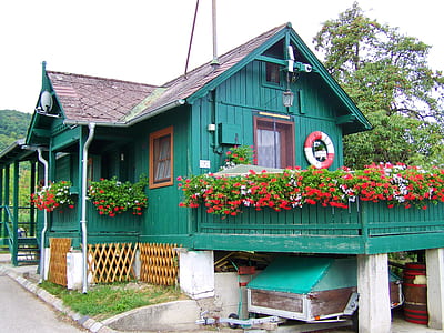 green and brown house beside tree thumbnail