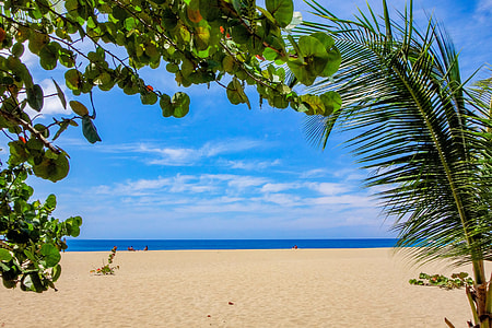 beach under cloudy sky thumbnail