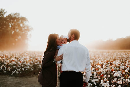 father, mother, and child across white and red flowers thumbnail