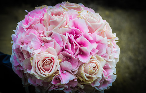 closeup photo of pink flower thumbnail