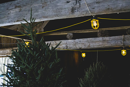 turned on pendant lamp during nighttime thumbnail