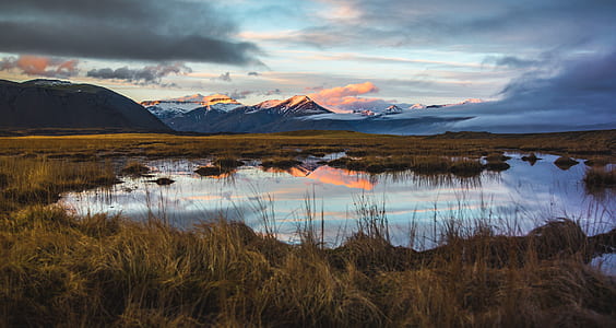 marshland with brown field under cloudy skies thumbnail