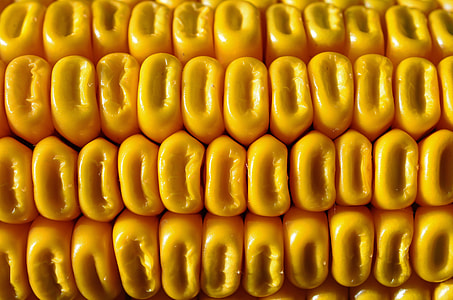 corncob thumbnail