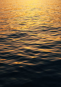 calm body of water during golden hour thumbnail
